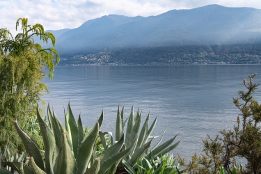Le parc botanique du Tessin, sur les îles de Brissago