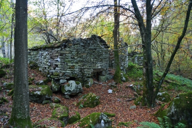 Des ruines donnent aux forêts une atmosphère particulière