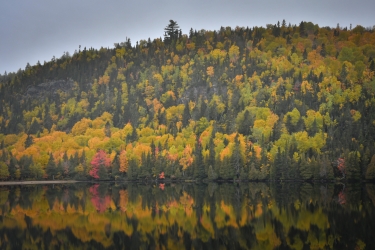 Reflets des couleurs d'automne
