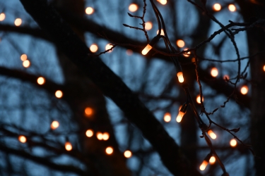 11 décembre : "Jolies lumières"