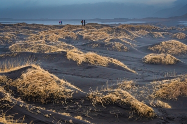 Stokksnes et ses dunes de sable noir