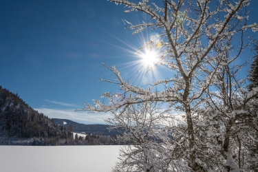 Promenade hivernale autour du lac Brenet