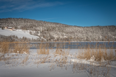 Promenade hivernale autour du lac Brenet