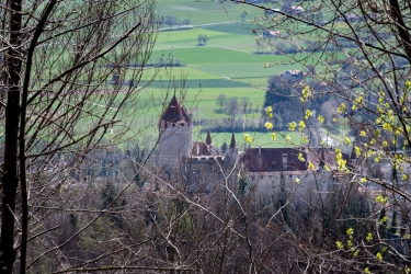 Vue sur le château de Lucens