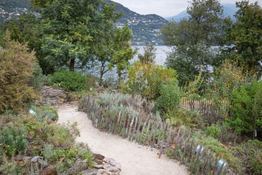 Le parc botanique du Tessin, sur les îles de Brissago