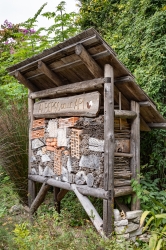 Le parc botanique du Tessin, sur les îles de Brissago