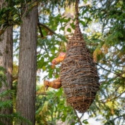 Le parc botanique du Tessin, sur les îles de Brissago