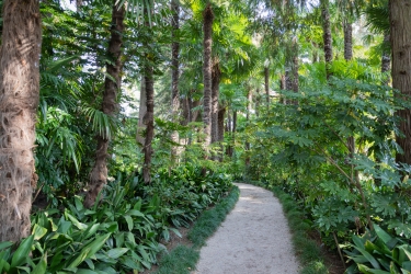 Le parc botanique du Tessin, sur les îles de Brissago