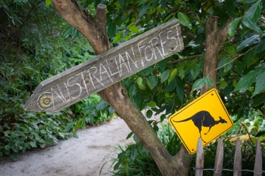 Le parc botanique du Tessin, sur les îles de Brissago