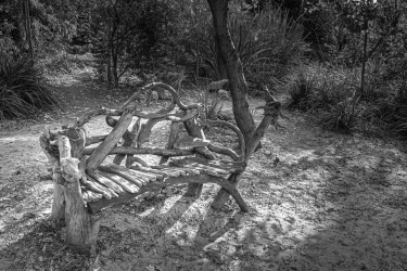 Le parc botanique du Tessin, sur les îles de Brissago
