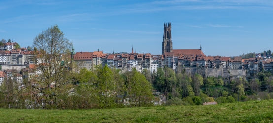 Tour en Basse-Ville de Fribourg