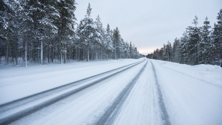 Sur la route entre Rovaniemi et Inari