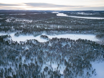 La forêt finlandaise vue du ciel