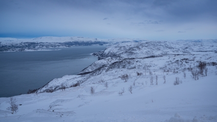 Le long des fjords de Norvège
