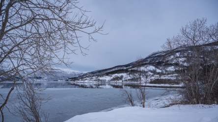 Le long des fjords norvégiens