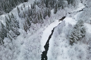 Paysage de Laponie norvégienne