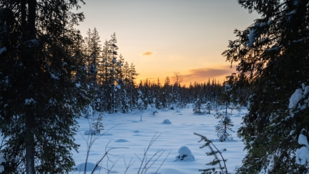 Sur les routes de Laponie finlandaise