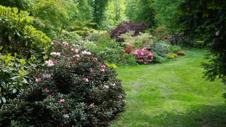 Le jardin des rhododendrons du zoo de Mulhouse
