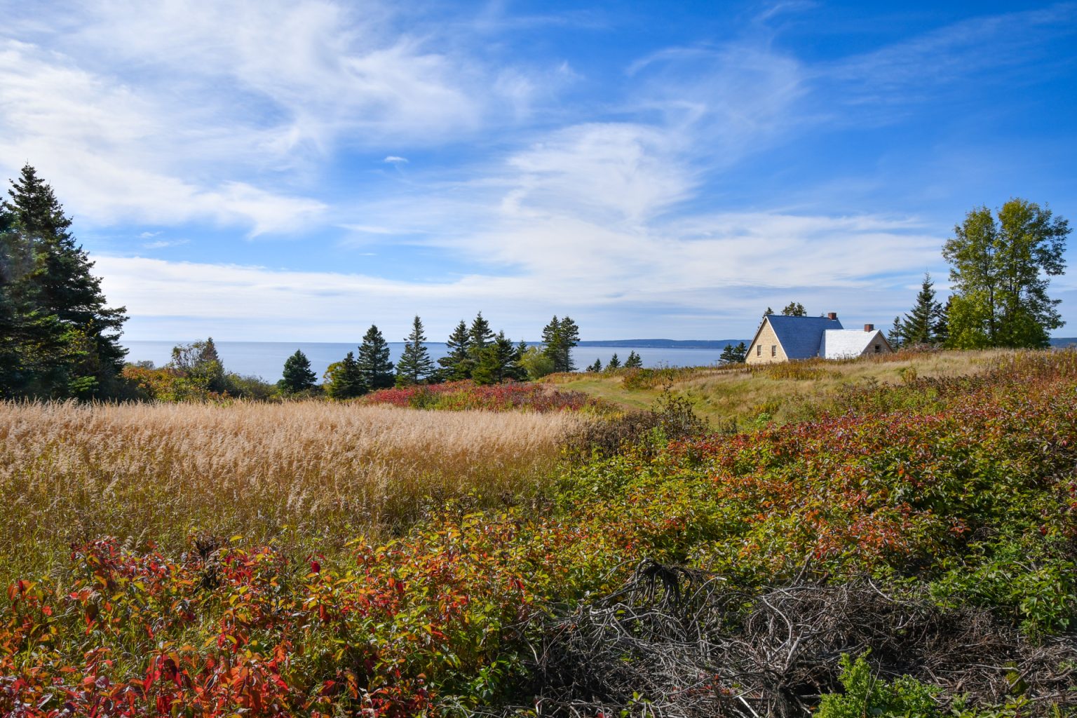 Canada – Jour 7 : Percé et l’île Bonaventure