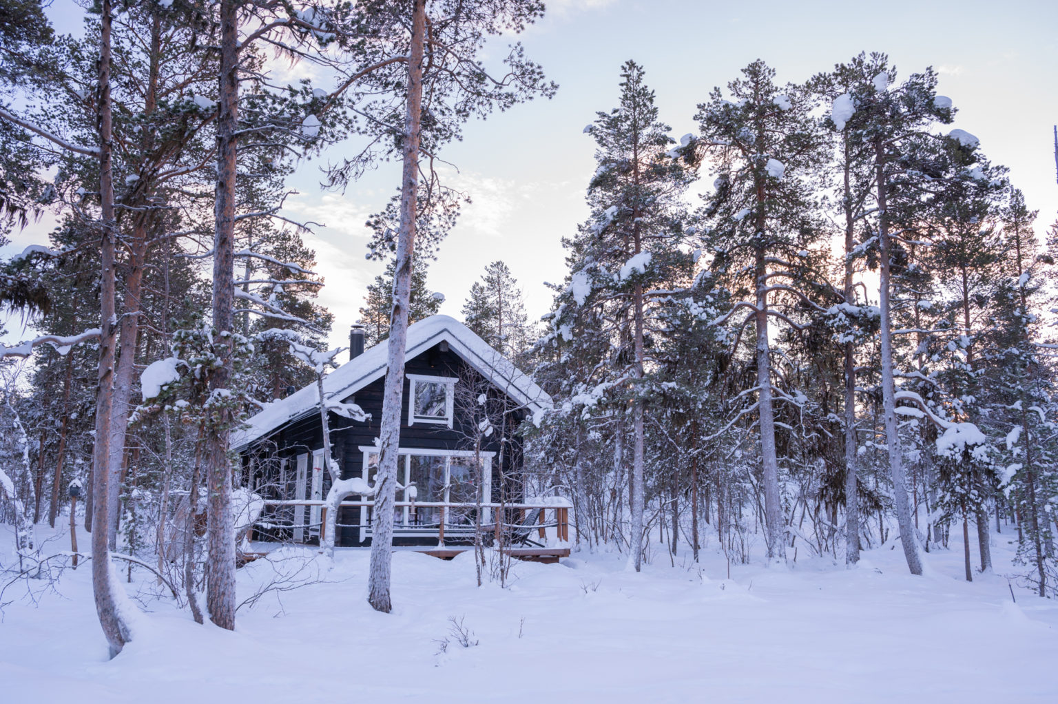 Laponie – Jour 4 : Au cœur de la forêt finlandaise