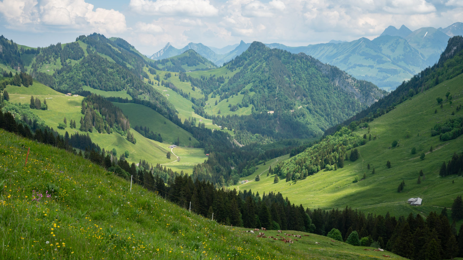 Sentier panoramique des Paccots