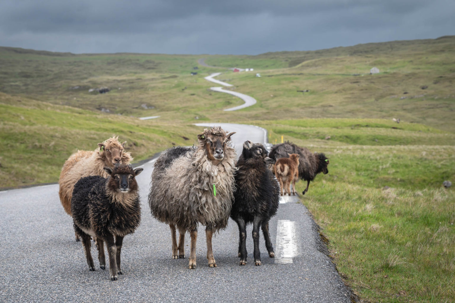 Îles Féroé – Jour 6 : Sud d’Eysturoy